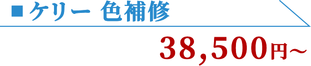 ケリー 色補修 38,500円〜